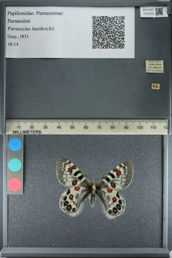Media type: image;   Entomology 180305